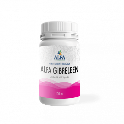 Alfa Gibreleen