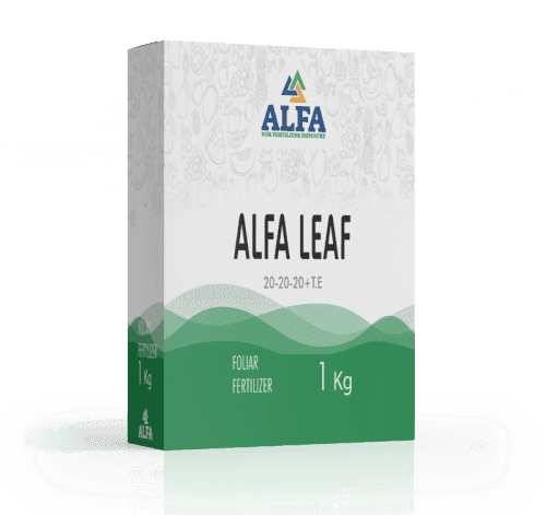 Alfa Leaf