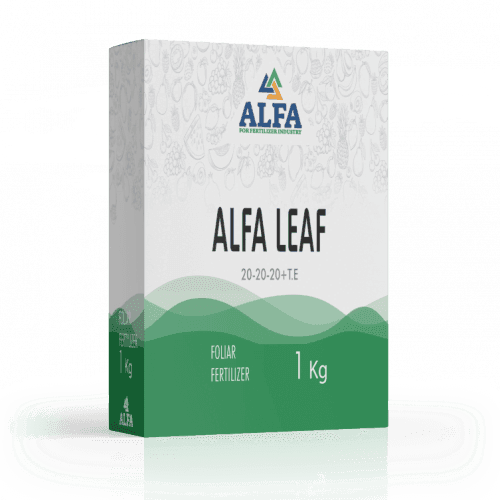 Alfa Leaf