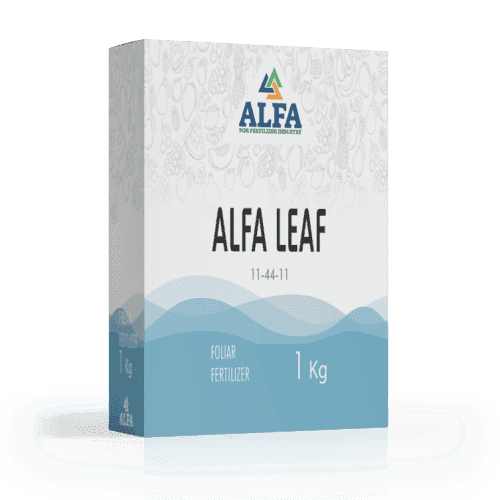 Alfa Leaf