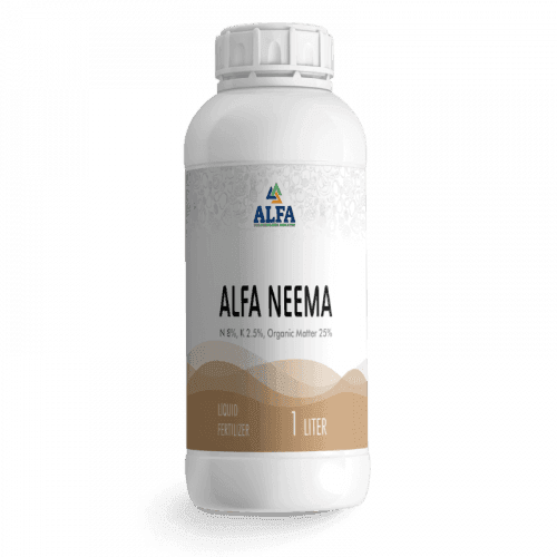 Alfa Neema