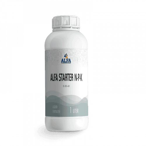Alfa Starter