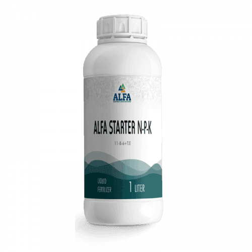 Alfa Starter