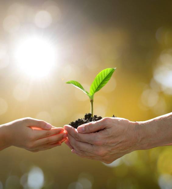 istockphoto-786218