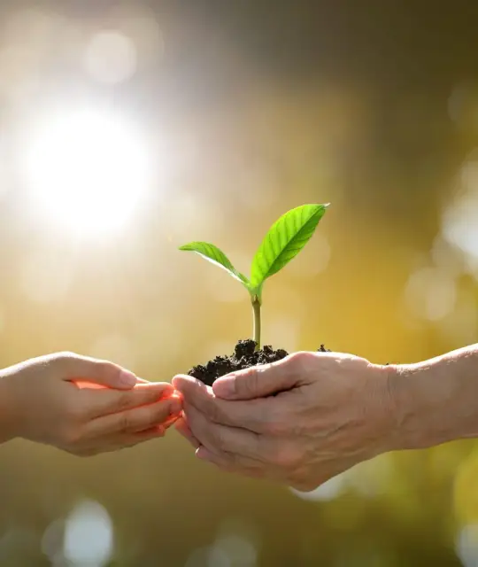 istockphoto-786218
